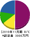 小川工務店 貸借対照表 2010年11月期