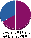 富永鉄工 貸借対照表 2007年12月期