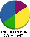 ワールド・ケィ 貸借対照表 2009年10月期