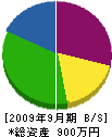 渡辺建設 貸借対照表 2009年9月期