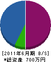 松樹園 貸借対照表 2011年6月期
