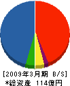 ヤマトガワ 貸借対照表 2009年3月期