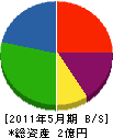辻工務店 貸借対照表 2011年5月期