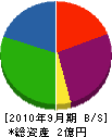 西日本光創 貸借対照表 2010年9月期