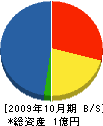 表井建設 貸借対照表 2009年10月期