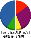 石塚土木 貸借対照表 2012年5月期