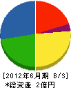 北田設備工業 貸借対照表 2012年6月期