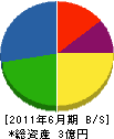小野工業 貸借対照表 2011年6月期