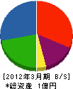 藤山建設 貸借対照表 2012年3月期