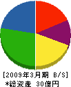 植田基工 貸借対照表 2009年3月期
