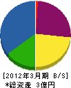 澤田組 貸借対照表 2012年3月期