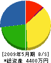 吉田塗装店 貸借対照表 2009年5月期