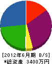 富士制電 貸借対照表 2012年6月期