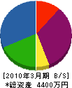 ヤマキチ 貸借対照表 2010年3月期