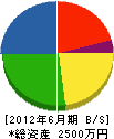 松本設備工業 貸借対照表 2012年6月期