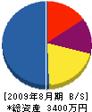 坂武建設 貸借対照表 2009年8月期