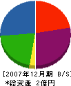 中澤工務店 貸借対照表 2007年12月期
