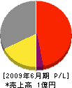 山田建設 損益計算書 2009年6月期