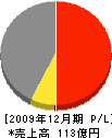 日本住宅 損益計算書 2009年12月期