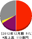 日本サルヴヱージ 損益計算書 2012年12月期