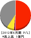 佐藤洋行工務店 損益計算書 2012年6月期