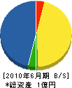松山電設 貸借対照表 2010年6月期