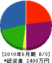 盛田造園 貸借対照表 2010年6月期
