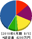 松葉建設 貸借対照表 2010年6月期