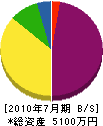 橋本園芸場 貸借対照表 2010年7月期