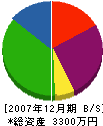 石川工業 貸借対照表 2007年12月期