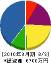 池田電気商会 貸借対照表 2010年3月期