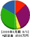 澤田防災工業 貸借対照表 2009年6月期
