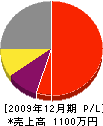 塚原無線電気商会 損益計算書 2009年12月期