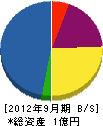 西川建設 貸借対照表 2012年9月期