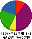 ホームサービス・ワタナベ 貸借対照表 2009年12月期