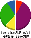 雄＊電設 貸借対照表 2010年9月期