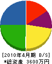 穴沢建設 貸借対照表 2010年4月期