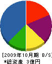 博澤建設 貸借対照表 2009年10月期