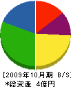 新潟維持サービス 貸借対照表 2009年10月期