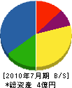 渡辺建材 貸借対照表 2010年7月期