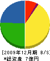 小柳産業 貸借対照表 2009年12月期