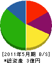 碧海電気 貸借対照表 2011年5月期