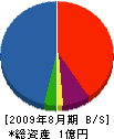 澤野農機 貸借対照表 2009年8月期