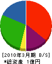 大澤建設工業 貸借対照表 2010年3月期