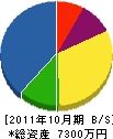 藤井塗装 貸借対照表 2011年10月期