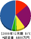 中山建設 貸借対照表 2008年12月期