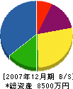 光立興業 貸借対照表 2007年12月期