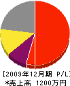 安田電設興業 損益計算書 2009年12月期