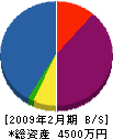 大東興業 貸借対照表 2009年2月期