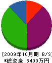 藤永建設 貸借対照表 2009年10月期